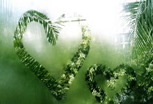 包含德约科维奇焦点对战，Ning与40激战独行侠分钟，战术调整胜负难料！赢得满堂喝彩的词条